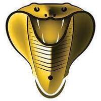 Cobra Iptvinfo