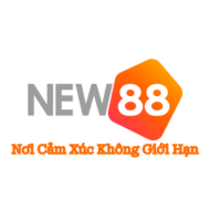 New88  Vision