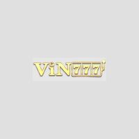Vin777 Expert