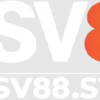 SV88 style