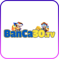 Banca30 tv