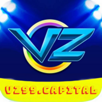 vz99 capital