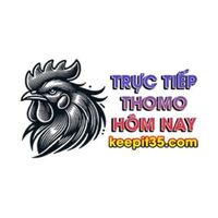 THOMOHOMNAY - ĐÁ GÀ THOMO TRỰC TIẾP HÔM NAY 