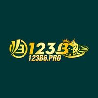 123b6pro 