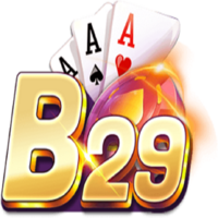 b29 s