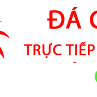 Đá Gà Trực Tiếp Thomo Hôm Nay 