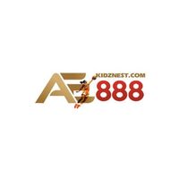 AE888  kidznest