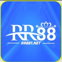 RR881 net