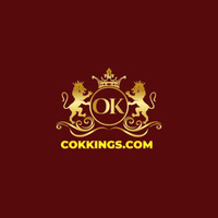 Nhà Cái OKKING