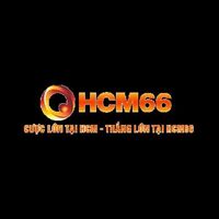HCM66 Tips