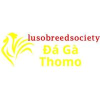 daga lusobreed