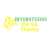 Đá Gà Trực  Tiếp Thomo