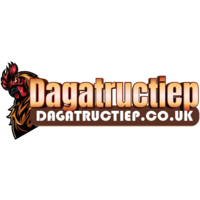 Đá Gà Trực Tiếp CO UK 