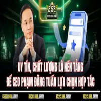 CEO   Phạm Đăng Tuấn