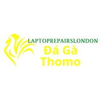 Đá Gà Trực Tiếp  Thomo