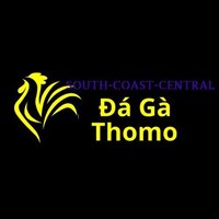 Đá Gà Trực Tiếp Thomo  