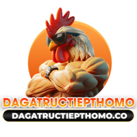 Đá Gà Trực Tiếp THOMO 