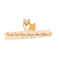 Trung Tam Huan Luyen Cho Quan 5