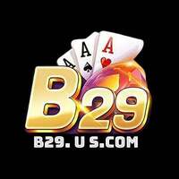 B29 
