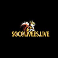 SOCO LIVE
