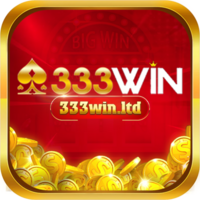 333Win ltd