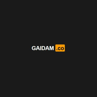 gaidam co1