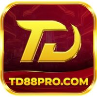 td88 