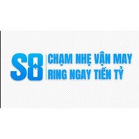 S 8