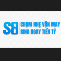 S8 