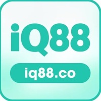 iq88co 