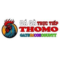 TRỰC TIẾP ĐÁ GÀ THOMO 