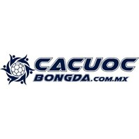 Cá cược  bóng đá