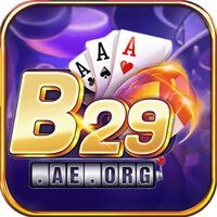 B29 