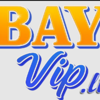 Bayvipc 