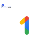 PremiumVNS GoogleOne