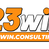 23Win  consulting