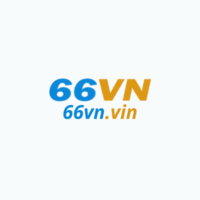 66Vn vin