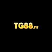 TG88 Nhà cái đẳng cấp số 1 tại việt Nam
