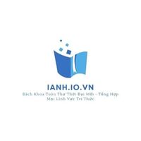 Ianh IO VN 