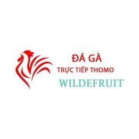 Da Ga Truc  Tiep Thomo