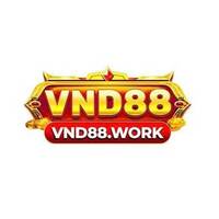VND88  work