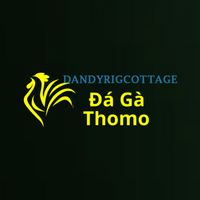 Da Ga Truc  Tiep Thomo