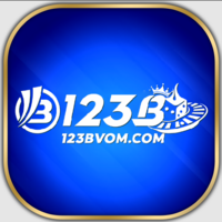 123B VOM