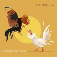 thomohomnay  ĐÁ GÀ TRỰC TIẾP