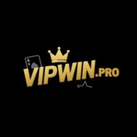 Vipwin pro