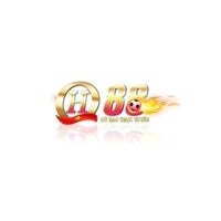 QH88 VFS 
