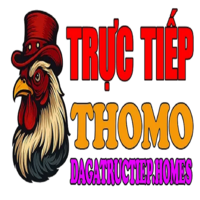 thomohomnaymento 