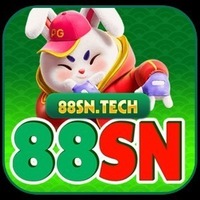 88SN SN