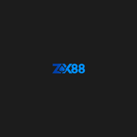 Zx88 digital