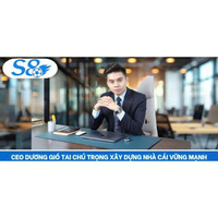 CEO  Dương Gió Tai